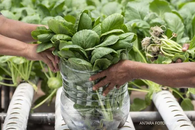 Jangan Salah Pilih, Ini 6 Sayuran Beku Terbaik dan Paling Segar Menurut Ahli Gizi