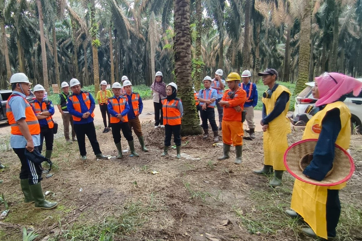 KSPSI Dorong Standardisasi Hubungan Industrial untuk Tingkatkan Kesejahteraan Pekerja Sawit