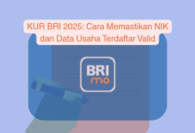 KUR BRI 2025: Panduan Cek Validitas NIK dan Data Usaha untuk Pengajuan Kredit Tepat Sasaran