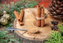 Kayu Manis: Rahasia Alami Kulit Cerah dan Awet Muda yang Jarang Diketahui Banyak Orang