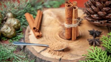 Kayu Manis: Rahasia Alami Kulit Cerah dan Awet Muda yang Jarang Diketahui Banyak Orang