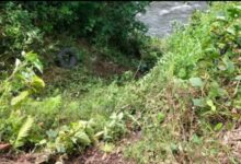 Kecelakaan Maut di Jalan Bangko–Kerinci: Satu Korban Selamat, Dua Masih Hilang Dicari Tim SAR