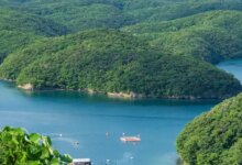 Keindahan Alam dan Sejarah Tsushima: Pulau Perbatasan Jepang yang Menawan