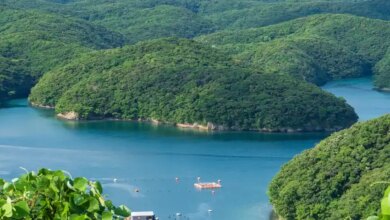 Keindahan Alam dan Sejarah Tsushima: Pulau Perbatasan Jepang yang Menawan