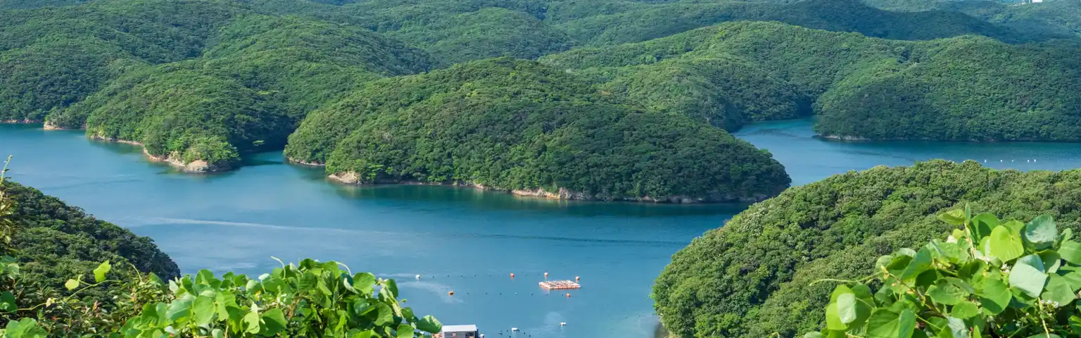 Keindahan Alam dan Sejarah Tsushima: Pulau Perbatasan Jepang yang Menawan