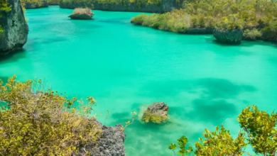 Keindahan Pulau Bair Maluku Tenggara, Surga Tersembunyi Mirip Raja Ampat yang Memukau