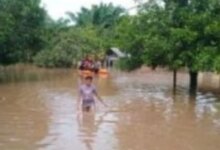 Kemenhut Selidiki Kayu Gelondongan Penyebab Banjir Sumatra, IMM Apresiasi Langkah Ini