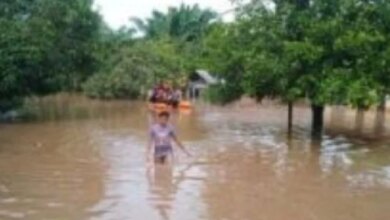 Kemenhut Selidiki Kayu Gelondongan Penyebab Banjir Sumatra, IMM Apresiasi Langkah Ini