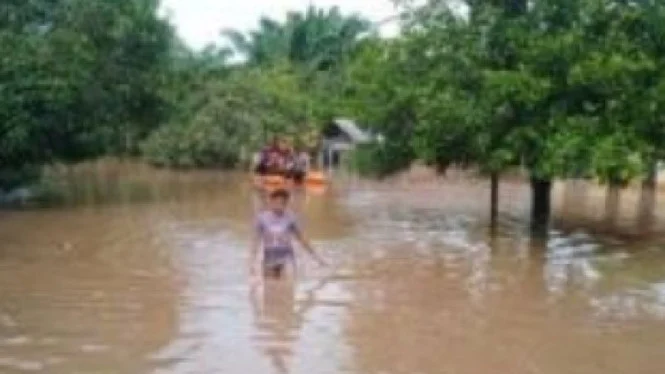 Kemenhut Selidiki Kayu Gelondongan Penyebab Banjir Sumatra, IMM Apresiasi Langkah Ini