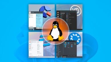 Keunggulan Linux yang Tingkatkan Produktivitas Lebih Efektif Dibanding Windows dan Mac