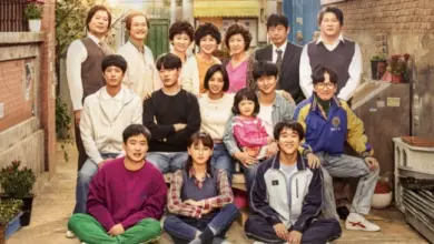 Kilas Balik Reply 1988: OST Eksklusif dan Program Variety Terbaru Hadir Lagi Setelah Dekade