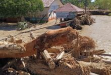 Kondisi Pascabencana Sumatra Memprihatinkan, Warga Minta Pemerintah Pusat Tidak Tutup Mata