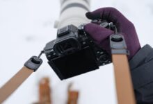 Kualitas Dinamis Sony A7 V Memukau, Namun Satu Spesifikasi Ini Kurang Memuaskan