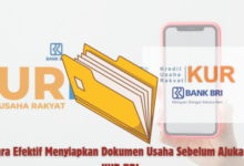Langkah Praktis Persiapkan Berkas Usaha untuk Pengajuan KUR BRI yang Cepat Disetujui