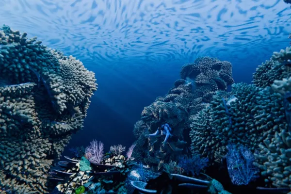 Layak Dicoba: 6 Spot Snorkeling Terbaik di Anyer untuk Pengalaman Bawah Laut Seru