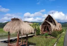 Mahaloka Paradise Kulon Progo: Destinasi Alam Hits dengan Pesona Eksotis dan Spot Foto Menawan