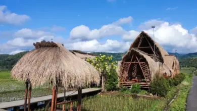 Mahaloka Paradise Kulon Progo: Destinasi Alam Hits dengan Pesona Eksotis dan Spot Foto Menawan