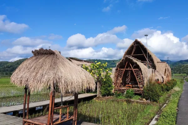 Mahaloka Paradise Kulon Progo: Destinasi Alam Hits dengan Pesona Eksotis dan Spot Foto Menawan