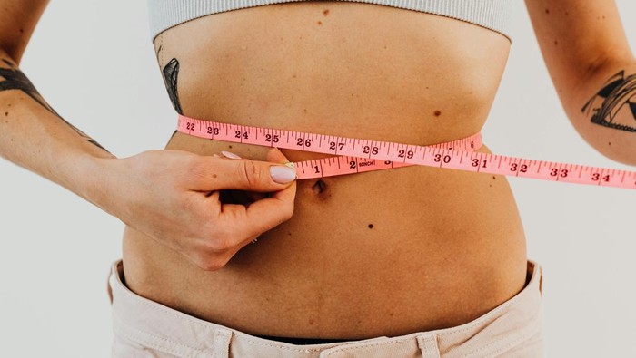 Makanan Penyebab Perut Buncit Menurut Ahli Harvard: Waspadai Konsumsi Anda