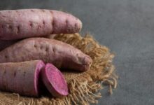 Manfaat Ubi Ungu untuk Kecantikan dan Kesehatan Wanita: Fakta dan Tips Terbaru