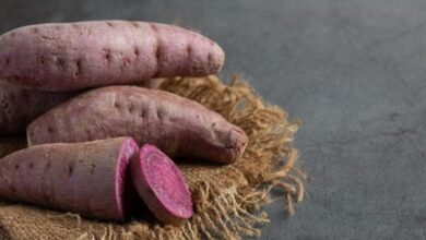 Manfaat Ubi Ungu untuk Kecantikan dan Kesehatan Wanita: Fakta dan Tips Terbaru