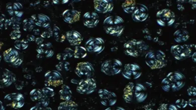 Material Baterai Padat Revolusioner, Kinerja Efisien Seperti Elektrolit Cair!