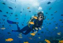 Mau Foto Menyelam Estetik? Coba Prompt Gemini AI untuk Hasil Profesional dan Kreatif