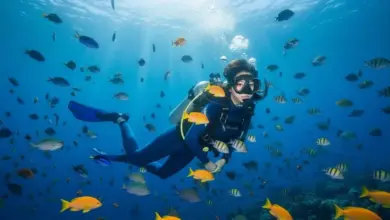 Mau Foto Menyelam Estetik? Coba Prompt Gemini AI untuk Hasil Profesional dan Kreatif