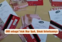Memahami Peran UMR dalam Penentuan Gaji: Aturan dan Fakta Penting yang Perlu Diketahui