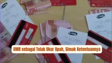 Memahami Peran UMR dalam Penentuan Gaji: Aturan dan Fakta Penting yang Perlu Diketahui