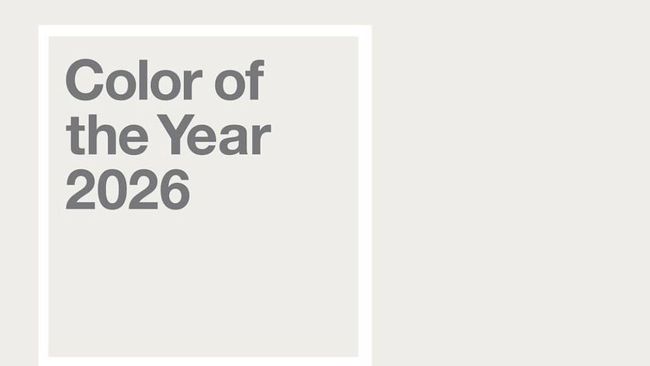 Mengenal Cloud Dancer: Nuansa Putih Elegan yang Jadi Tren Warna Terkini PANTONE