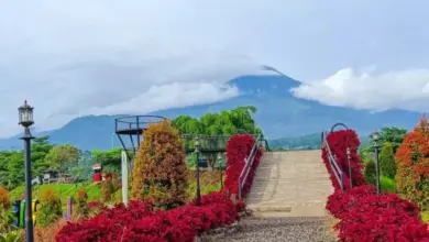 Mengenal Pesona Rainbow Garden Poetoek Soeko Mojokerto: Destinasi Wisata Warna-Warni yang Memukau