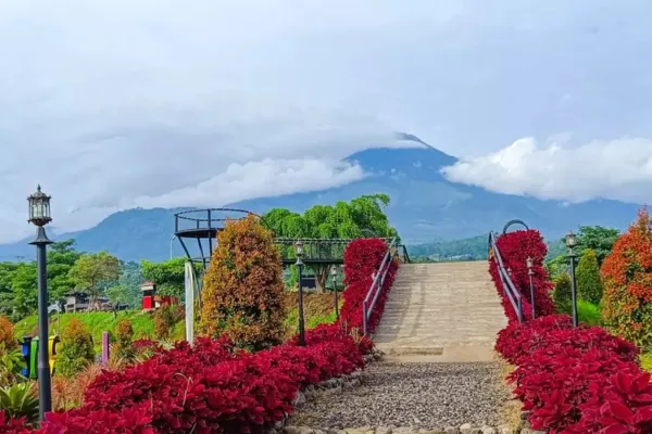 Mengenal Pesona Rainbow Garden Poetoek Soeko Mojokerto: Destinasi Wisata Warna-Warni yang Memukau