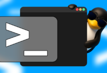 Mengenal Variabel Khusus dan Lingkungan Penting untuk Efektivitas Skrip Bash