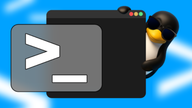 Mengenal Variabel Khusus dan Lingkungan Penting untuk Efektivitas Skrip Bash