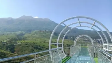 Menikmati Sensasi Berjalan di Jembatan Kaca Terpanjang Jawa Tengah, Kemuning Sky Hills