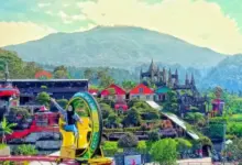 Menjelajahi Pesona dan Letak Strategis Pondok Cai Pinus di Kuningan