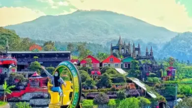 Menjelajahi Pesona dan Letak Strategis Pondok Cai Pinus di Kuningan