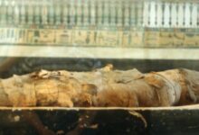 Mumi Guanajuato di Meksiko Diduga Mengandung Jamur Aktif Berbahaya, Ini Faktanya