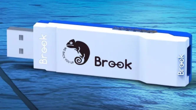 Nikmati Pengalaman Main Fighting Game Lebih Mulus dengan Hadirnya Brook Wingman FGC VX di Pasar Lokal