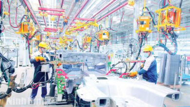 Ninh Binh dan Korea Perluas Kerja Sama Strategis di Fase Baru Pembangunan Ekonomi