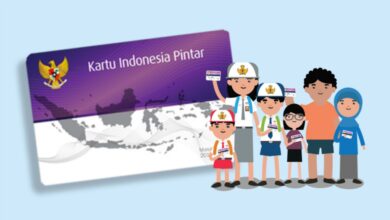 PIP Cair Kapan? Simak Cara Cek Status Pencairan dan Informasi Penting Terbaru