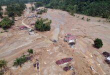 Pakar Top UGM dan IPB Usut Penyebab Banjir Sumatra, Izin Perusahaan Terancam Dicabut