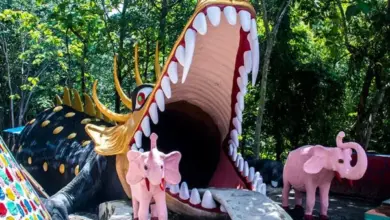 Panduan Lengkap Jelajah Batu Seribu: Info Tiket, Rute, dan Aktivitas Seru untuk Liburan