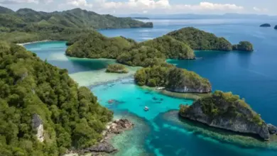 Panduan Lengkap Menuju Pulau Sombori: Rute, Tips Perjalanan, dan Aktivitas Seru di Destinasi Eksotis