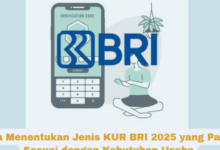 Panduan Memilih Jenis KUR BRI 2025 yang Tepat untuk Mendukung Pertumbuhan Bisnis Anda