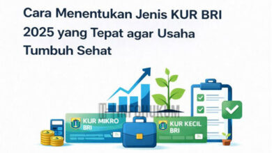 Panduan Memilih KUR BRI 2025 yang Sesuai untuk Mengembangkan Bisnis dengan Optimal