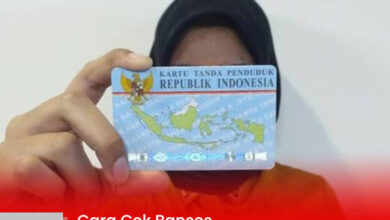 Panduan Mudah Cek Bantuan Sosial 2025 Menggunakan NIK via KTP Secara Online