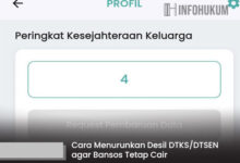 Panduan Praktis Turunkan Desil DTKS/DTSEN untuk Jaminan Cairnya Bansos dengan Mudah