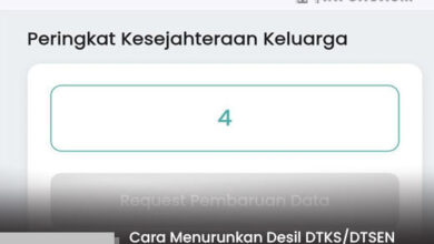 Panduan Praktis Turunkan Desil DTKS/DTSEN untuk Jaminan Cairnya Bansos dengan Mudah